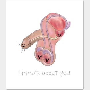 I'm Nuts About You Posters and Art